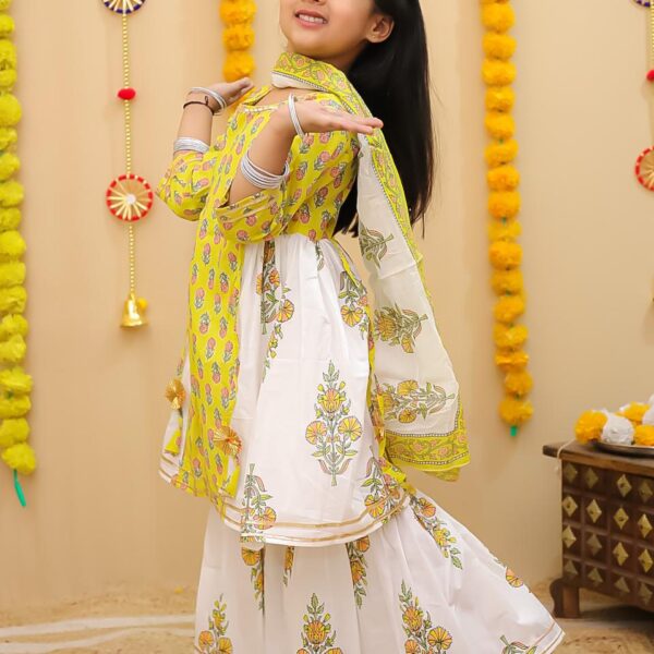 Beautiful Sharara Set